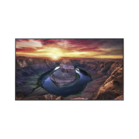 SAMSUNG ELECTRONICS, QM50C, Pantalla Profesional LED de 50 , UHD 4K (3840x2160p), Entradas de Video HDMI/DisplayPort / USO 24/7 