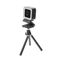HIKVISION, DS-UL2, Cámara Web ALTA DENIFICIÓN (1080p) / Aro de Luz Interconstruido / Gran Angular / Micrófono Integrado / Conect