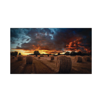 SAMSUNG ELECTRONICS, VM55BU, Pantalla Profesional LED de 55 para Video Wall, Full HD (1080p), HDMI/DVI-D/DP, Bisel Ultra Delgado