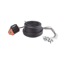 SEETRONIC, CSBT1204L30M, Stagebox, 12+4 canales, 4 extremos son SCMM3, los otros 12 extremos son SCMF3.