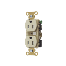 Comprar Contacto Duplex HUBBELL 15A 125V | Smartgrid México