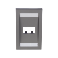 Comprar Placa PANDUIT CFPE2IGY 2 Puertos | Smartgrid México