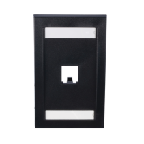 Comprar Placa Pared Vertical PANDUIT | Smartgrid México