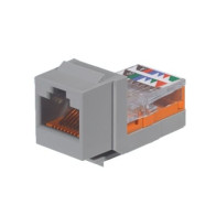 Comprar Conector Jack PANDUIT | Smartgrid México