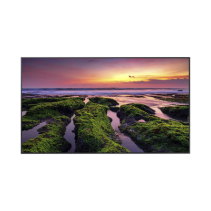 SAMSUNG ELECTRONICS, QB55C, Pantalla Profesional LED de 55 , UHD 4K (3840x2160p), Entradas de Video HDMI, Bocinas Integradas de 